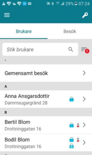 11. Avsluta arbetspass och godkänn utförda besök 1.