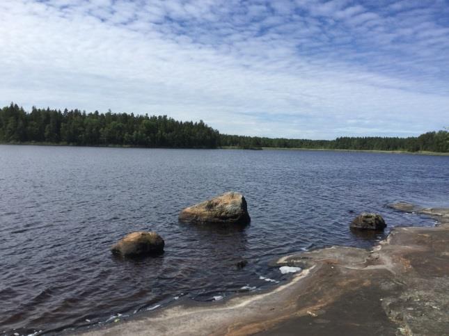 Det finns flera alternativ för att ta dig till denna plats och vandringen är enkel: Vill du gå en längre sträcka (4 km.