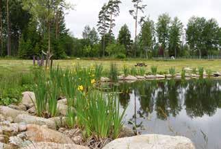 DLAT AV OODLAT AV Det finns många arter att välja bland och växterna har svenskt ursprung som passar naturligt in i de flesta miljöer.
