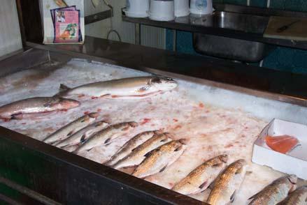 Emellertid har människan påverkat fisk som födoresurs negativt genom att släppa ut miljögifter i naturen.