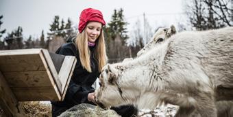 INNEHÅLL 4 8 EVELINA MED FÖTTERNA I RÖTTERNA Den samiska kulturen är inte bara samernas egen historia, det är