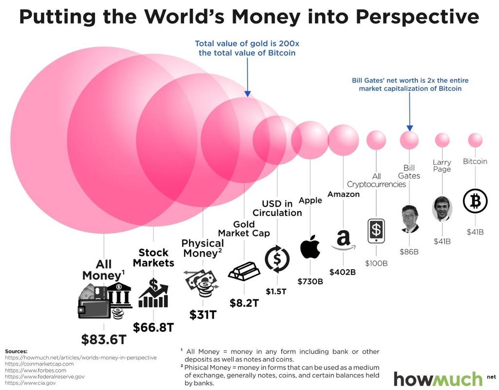 Det totala värdet av BitCoin var ungefär som Larry Page (Google) förmögenhet och cirka 50% av den som Bill Gates