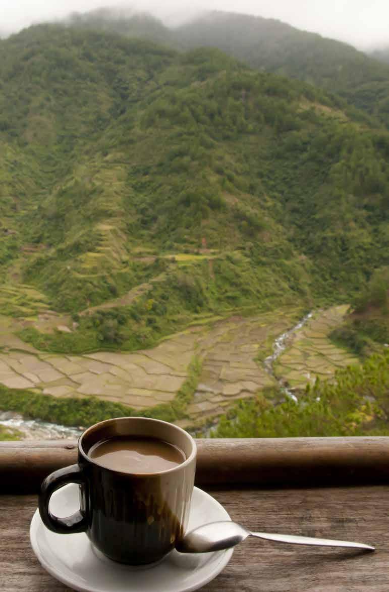 Det certifierade miofino-kaffet ger en extra god eftersmak miofino är ett kaffe som inte bara är av högsta kvalité, utan som också innebär att det för varje kilo kaffe du köper, så går en krona till