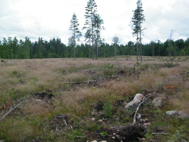 Rättsförhållanden enl. CFD Fastighet Århult 1:31 fastigheterna ligger i Mönsterås kommun, Ålems församling. Rättigheter: Århult Avtalsrättigheter: Avtalsservitut Akt nr: 08-IM2-50/537.