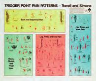 84 Klinikutrustning och förbrukning Triggerpunktsplanscher 78910 TRIGGERPUNKTSPLANSCHER, 2 stycken Visar sambandet mellan smärtområden och triggerpunkter. Storlek 82 x 97 cm - set om 2 st.