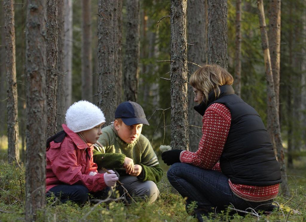 Hållbarhetsarbete som gör skillnad och visar vägen till en förnybar framtid SCAs växande skogar binder ~4 miljoner ton CO 2 per år och ger förnybara material SCA undantar 21% av den produktiva