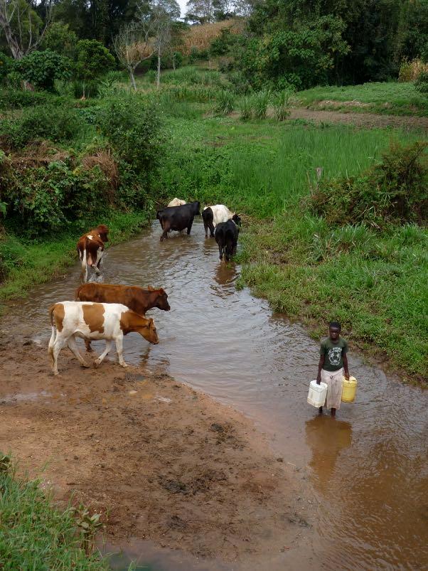 Projekt 20175. Till barnfamiljer i Tharaka, Kenya Vid floden Thanantu Öster om Mt. Kenya rinner floden Thanantu genom området Tharaka-Nithi. Det är en torrt och bergig plats där ca 360.