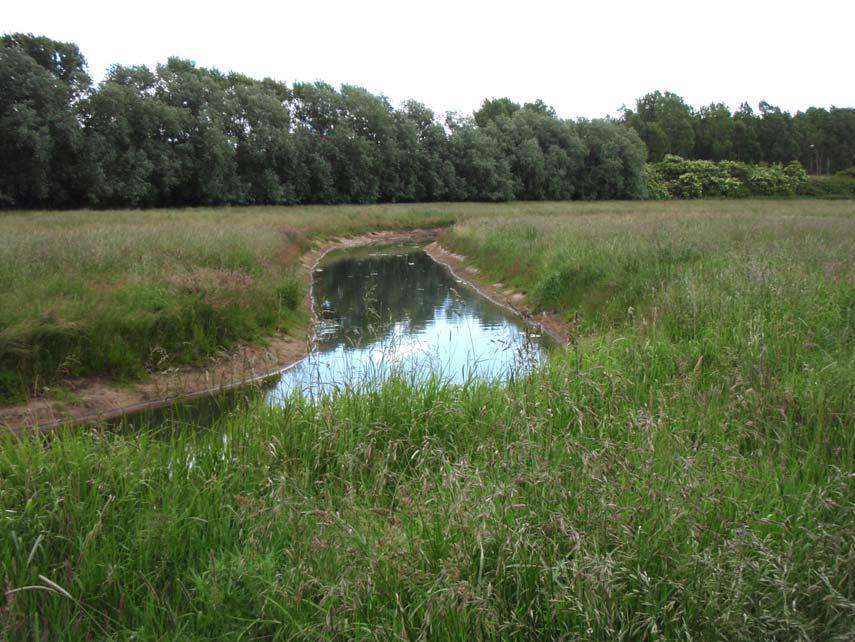 TRELLEBORGS ÅAR Vattenundersökningar 2008