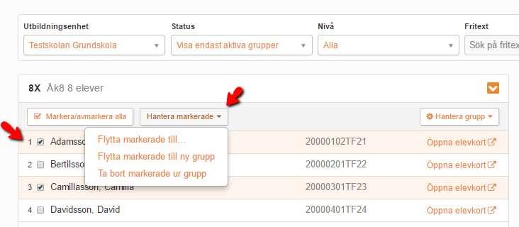 Flytta/ta bort elever Markera de elever i gruppen som ska hanteras klicka på [Hantera markerade] o Flytta markerade till ger dig möjlighet att flytta elever till annan befintlig grupp o Flytta