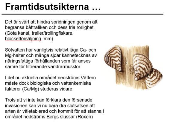 Anna Rotander, Örebro Universitet MIKROPLASTER I STORA SJÖAR 2017, FÖRSTA RESULTATEN?
