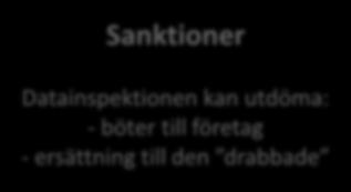 Datainspektionen Sanktioner