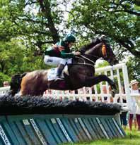 Odds Plats Komb Tid CHAMSIN STREET B 60, Johanna Hederström, a (6,) 6, br s Streetlight-Annie Blue / Old Blue (Tuunanen Arne) Livs: 0-0-0 87 (0) MÖRKBLÅ,vitt lodr band;mblåa;vit Stall Tunne o Nagy