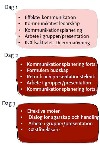 Programmet: Kommunfullmäktige 81 ordinarie