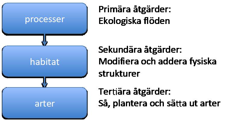 vattendragssträcka, eller (2) om den kan förväntas omfatta hela avrinningsområdet eller motsvarande. I det senare fallet multiplicerade vi åtgärdens effekt med 2.