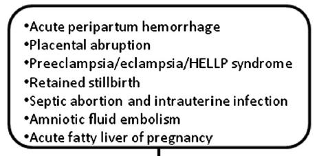 Gynecology 2015