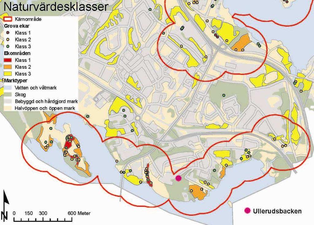 försvagning. Kärnområdet för ek runt Farstanäset försvagas av förslaget.