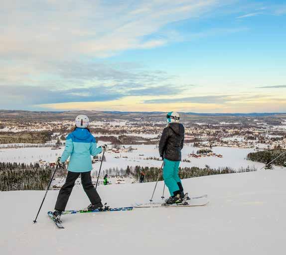 78 79 Kommunfullmäktige Valnämnd 2015-03-25 Barn- och Gemensamma nämnder Revision Miljö- och utbildningsnämnd byggnämnd Teknisk nämnd Kommunstyrelse förvaltning