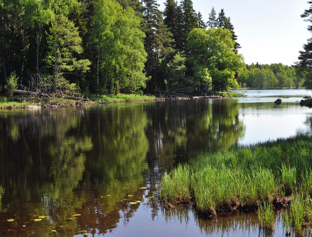 Metaller i vatten var kommer det ifrån Koppar och zinks påverkan på miljön Koppar och zink, liksom andra metaller, är en naturlig del av jordskorpan och vår miljö.