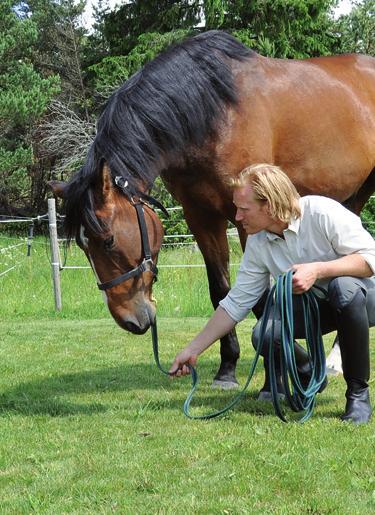 Svante ber 3-åriga Richmond att forma sig efter linan som är ett substitut för tygeln i ridningen.