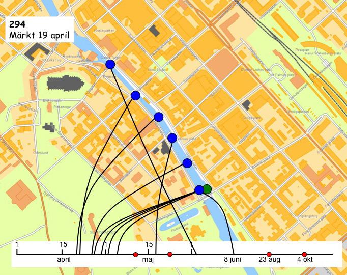 Nr 314 stannade kvar några dagar i centrala Uppsala innan den påträffades i slutet av april och början av maj i höjd med Ulleråker nedströms Kungsängsbron (Figur 7).