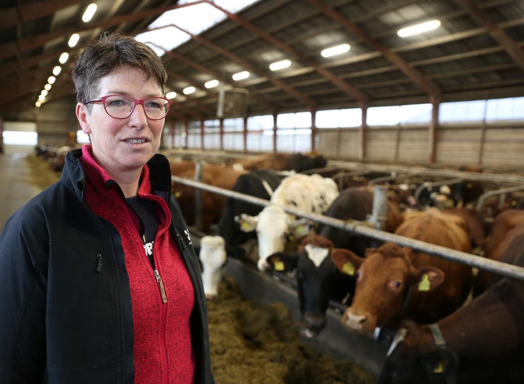 Yke Kloppenburg. konventionella driften mjölkade korna 11 000 kilo ECM (energikorrigerad mjölk). Nu är målet 9 700 kilo ECM direkt efter omläggning och det långsiktiga målet ligger på 10 000 kilo ECM.