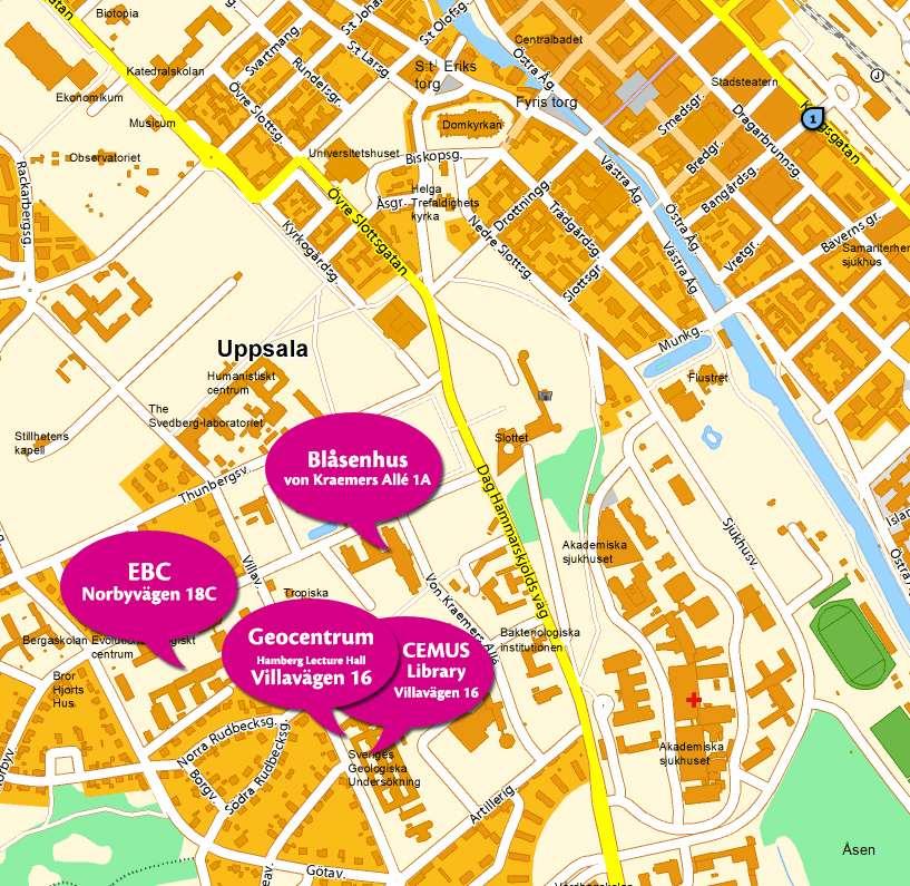 Kursens huvudsakliga