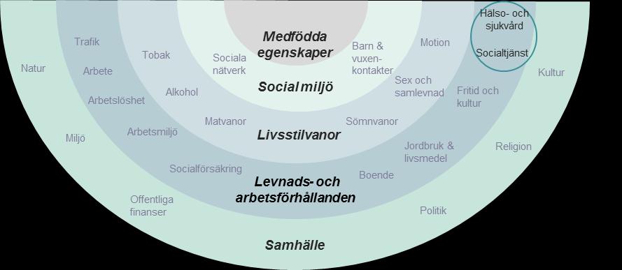 Vad är e-hälsa och vad vill vi