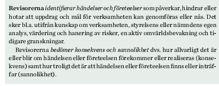 Revisrernas uppgifter ch ansvar kmmunallagen 9 kap Gd revisinssed i kmmunal verksamhet 2014 Riskbedömningar inför upprättandet av revisinsplanen Iakttagelser ch granskningar under revisinsåret 2015