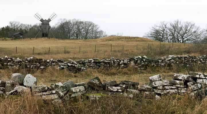 FRYST RÅ KYCKLING - VENTLINGE KYCKLING Det är en kyckling av högsta tänkbara kvalitet uppfödd hos vår bästa uppfödare i Ventlinge på Öland.