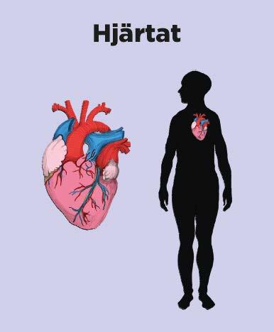 6 Hälsopepp i korthet Vem? Skolsköterskor som arbetar med nyanlända elever i grundskolan.