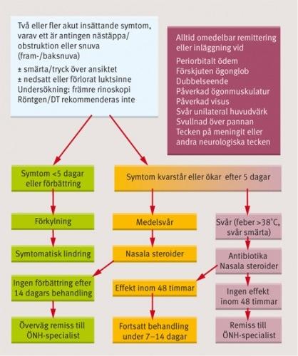 Handläggningsschema för