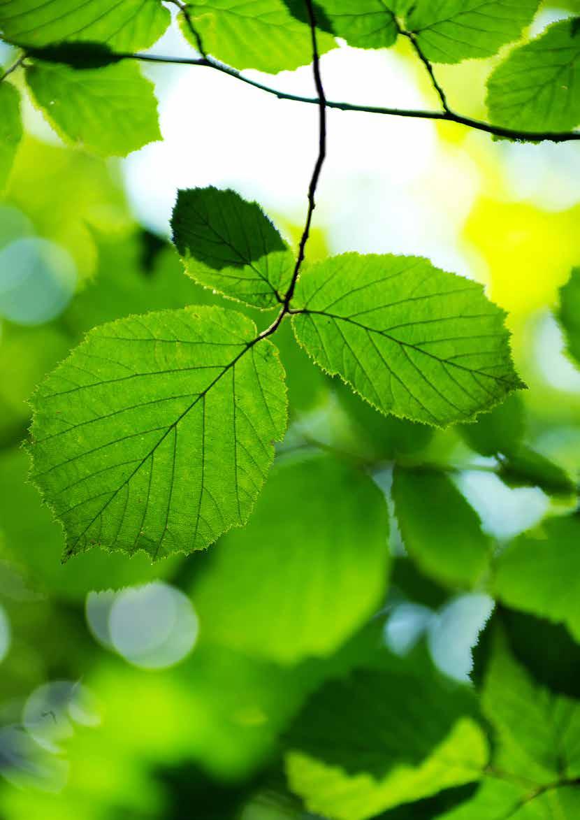 VÅRT BÄSTA PÅSFILTER NÅGONSIN Ett A+ klassat filter