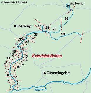 Karta 10. Kviedalsbäcken med de sträckor som har inventerats 1-28. Åtgärder: Trädplantering Längs med Kviedalsbäcken finns sparsamt med träd och buskar.