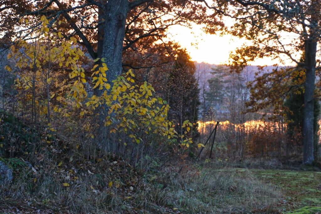 ANSLAGSTAVLAN Planerad fotoutställning i Skirögården 23-24/9 kl. 12-16.