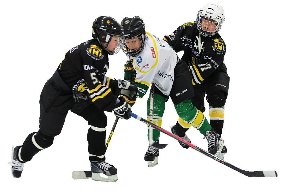 Riktlinjer skridskoskolan För alla åldrar. Detta är en introduktion till ishockeyn där barnen lär ishockeyns grunder på ett lekfullt sätt. Skridskoskolan har 2 pass i veckan.