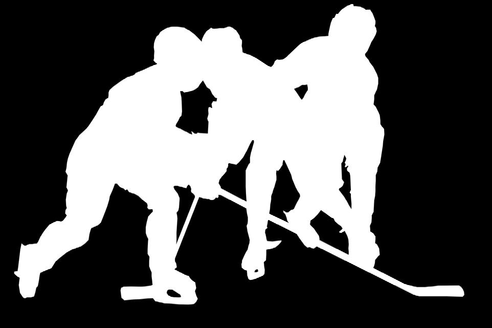 Riktlinjer Tre Kronors Hockeyskola TKH är en fortsättning på introduktionen till ishockeyn, där barnen lär ishockeyns grunder på ett lekfullt sätt.