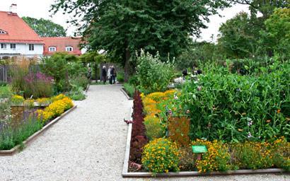 WIJ TRÄDGÅRDAR OCKELBO TORSDAGEN DEN 16. AUGUSTI Trädgårdsmästaren Lars Krantz skapade år 2000 Wij Trädgårdar, platsen för både vild natur och trädgårdar ritade av berömda arkitekter och formgivare.