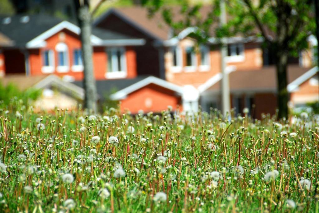 PLANBEREDSKAP OCH MARKINNEHAV Kommunens planering för bostäder Svalövs kommuns planberedskap är sett till antalet outnyttjade byggrätter relativt god och har varit så under en längre tid.