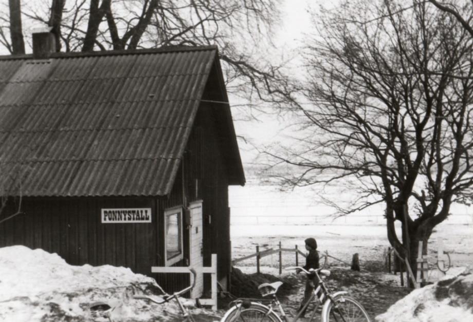 Fotograf Ulf A Eriksson Som lektionsmaneger användes Runda ridhuset, ponnypaddocken och ridstigar som ställts iordning.