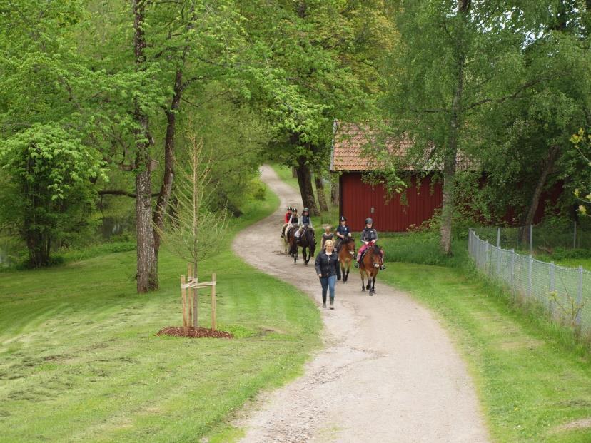 Han efterträddes av Lotta Löfstrand som kom från Nyby-Torshälla ridklubb.