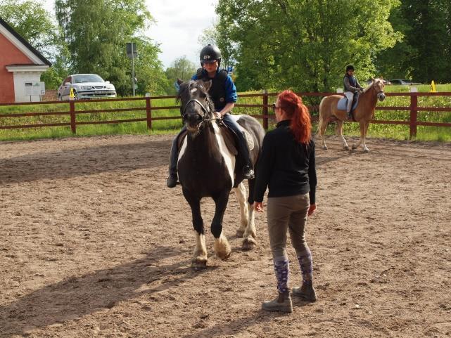 3 år samt ridlekis. En mer fast form för prova-på-ridning är också under utveckling. Antalet ridande på ridskolan ökar för närvarande och i skrivande stund är det över 800 per vecka som rider.