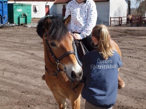 90 grupper per vecka och löpande ridskola veckorna 32 25 samt dagridläger två veckor på sommaren och dessutom mycket extraaktiviteter året om. Uppsittning på stallplan.