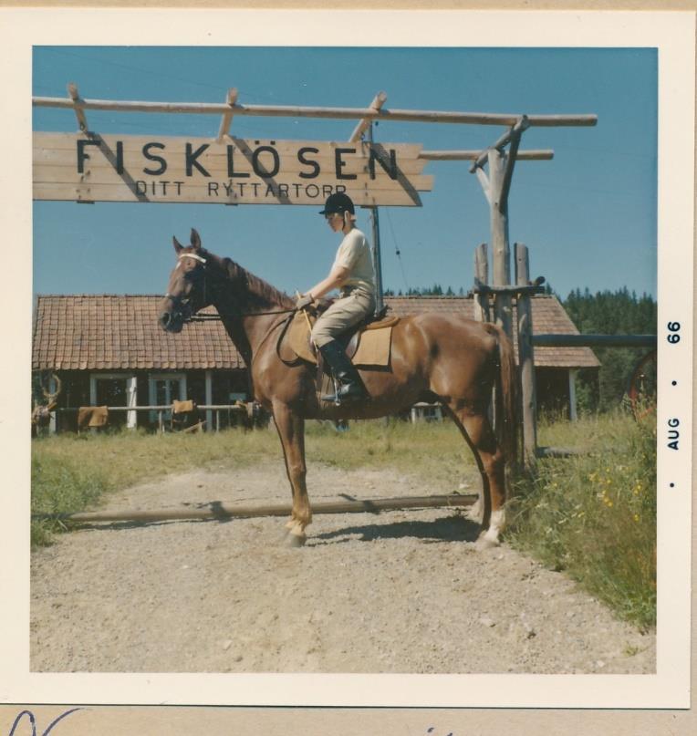 grundläggande frihetsdressyr, löshoppning, longering och ridning, inklusive tävling. En del av dessa hästar kom senare att ingå i ridskolan, medan andra såldes som tävlingshästar.