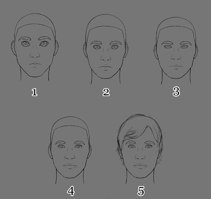 Den halvan kopierades och spegelvändes sedan för att skapa ett symmetriskt ansikte (se bild 1 i figur 2).