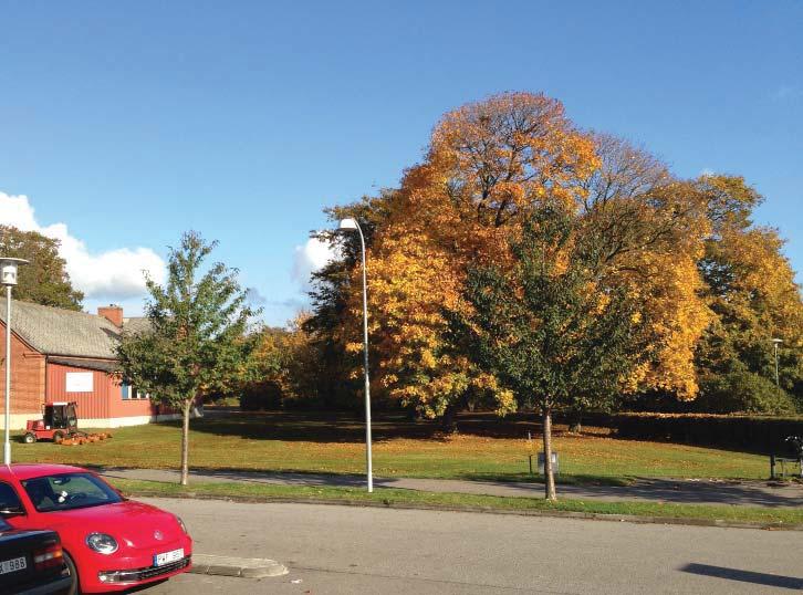 Bild 3. Folkets hus vintern 2017, huvudfasad mot öster och parkeringsyta. Bild 4.