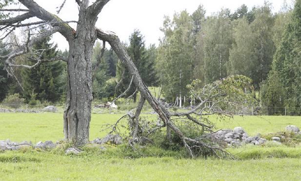 Mejla svarsraden i de blå fälten tillsammans med ditt namn, adress och mejladress till: info@slr.se I ärendefältet i mejlet skriver du Kryss 3/2015.