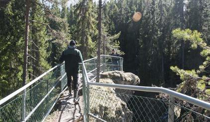 Vi valde att under två dagar åka upp till Siljansområdet för att själva skapa oss en uppfattning om geoparken och dess geolokaler. Besöksanläggningen vid Styggforsen, Boda.