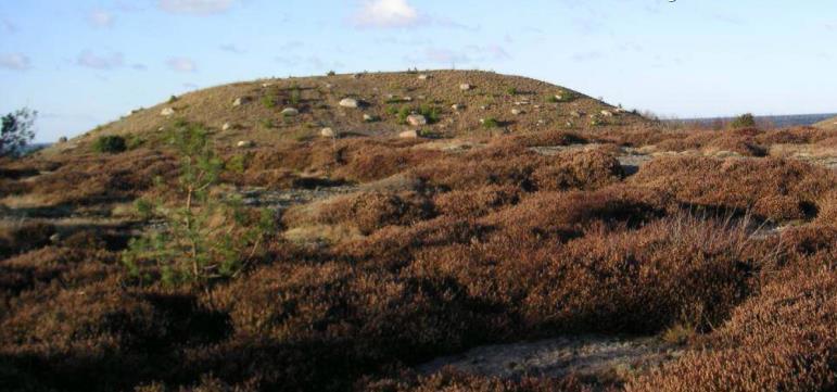 MARKFÖRVAR - BEHOV Dagens markförvar på Ringhals har enbart utrymme för driftavfall, därför undersöks möjligheterna att etablera ett nytt markförvar för rivningsavfall.