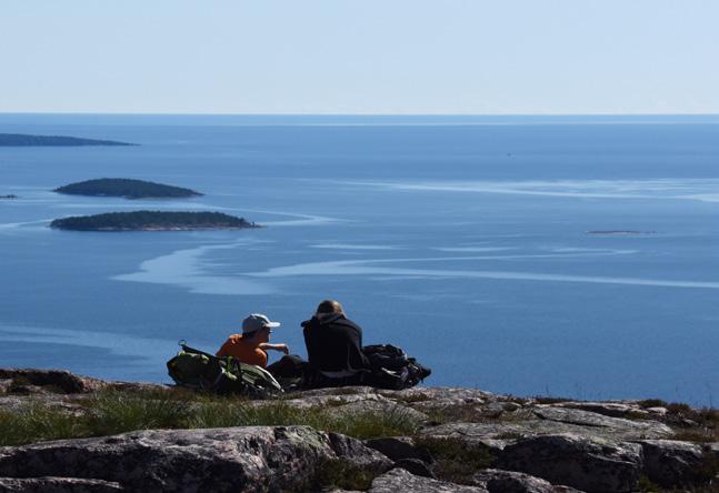 För att förstärka och tydliggöra det vi kan erbjuda har vi samlat de fem främsta råvarorna som visar, och bevisar vår karaktär.