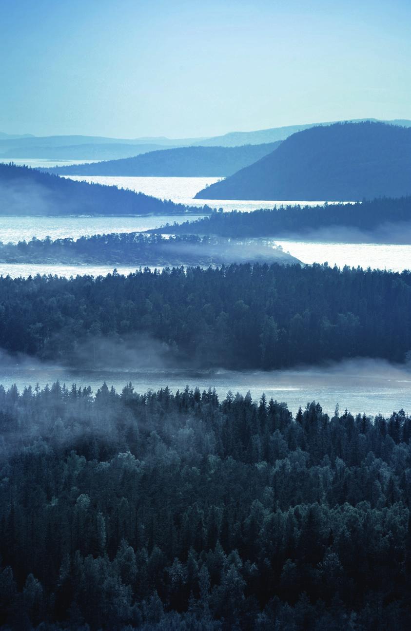 De ska andas berg, hav och skog.
